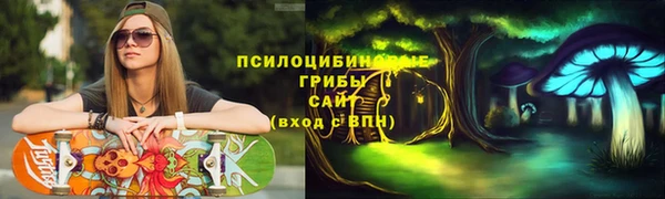 первитин Богородск