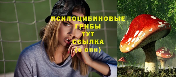 первитин Богородск