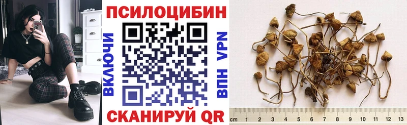 Псилоцибиновые грибы ЛСД  Купить где  Моршанск 